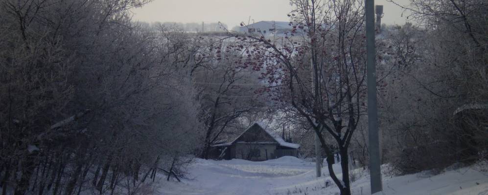 
            Фотография Фрунзовки