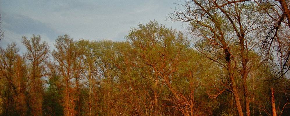 
            Фотография Нововоскресеновки