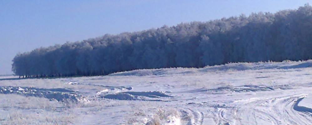 
            Фотография Соловьевки