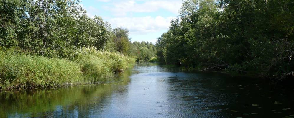 
            Фотография Леунихи