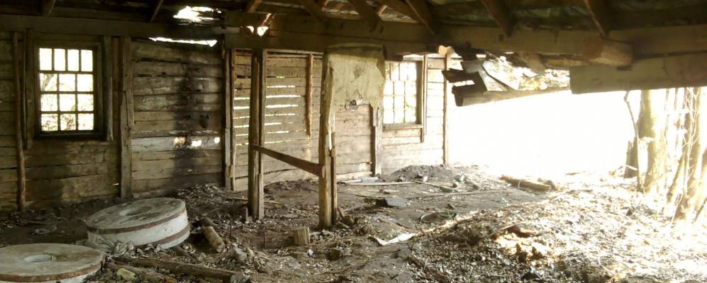 
            Фотография Перше Травни