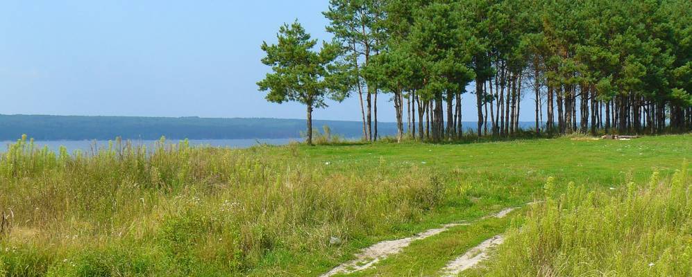 
            Фотография Смычки