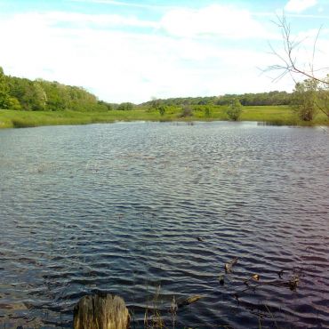 Никаноровка