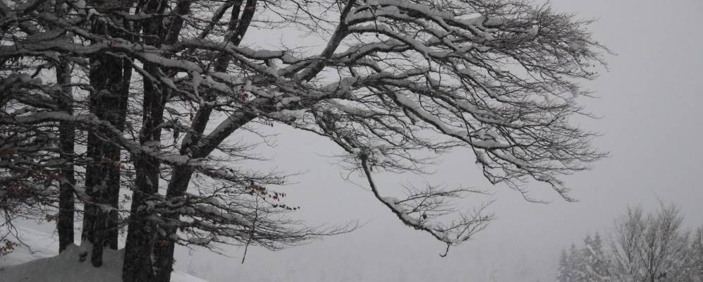 
            Фотография Ла-Фекла