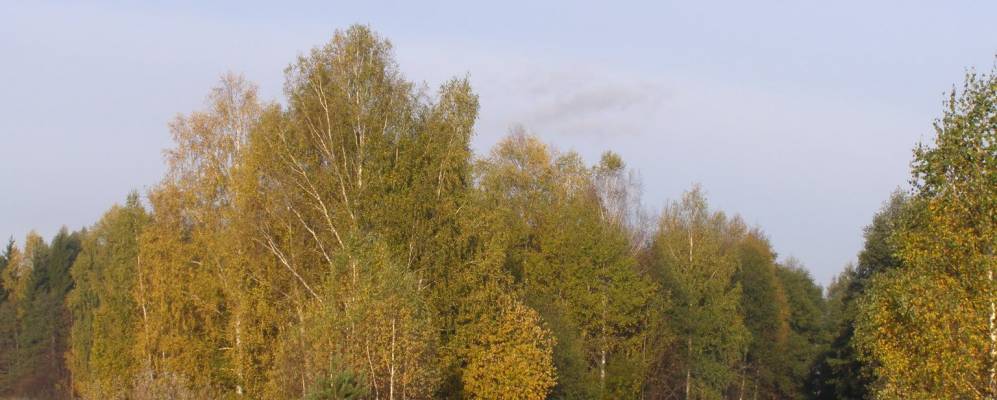 
            Фотография Ножово