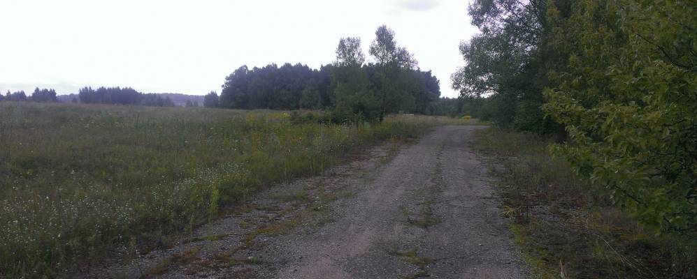 
            Фотография Шейки