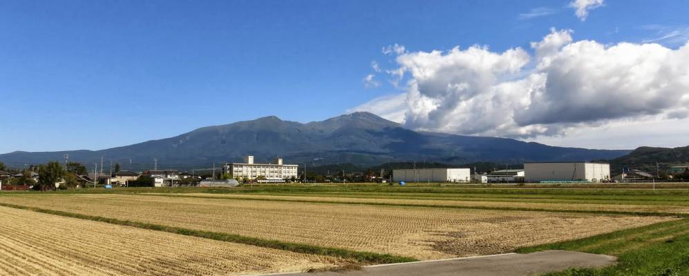 
            Фотография Узы