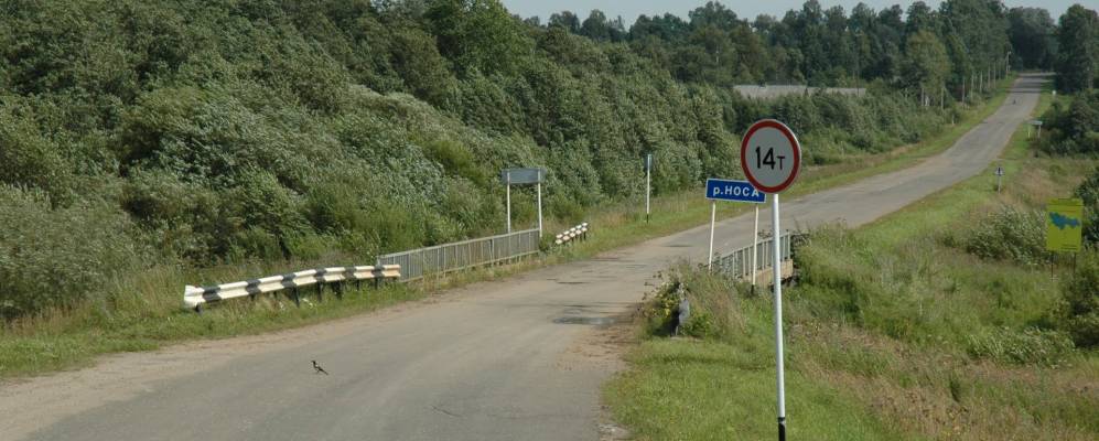 Фотография Малиновки