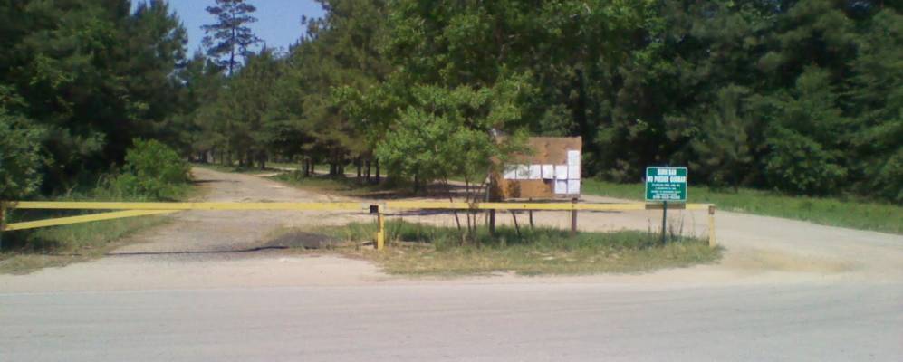 
            Фотография Роман Форреста