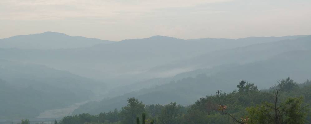 
            Фотография Солиньано