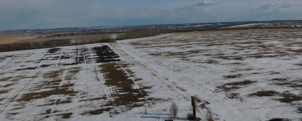 
            Фотография Чиршкасов