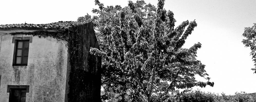 
            Фотография Сесураса