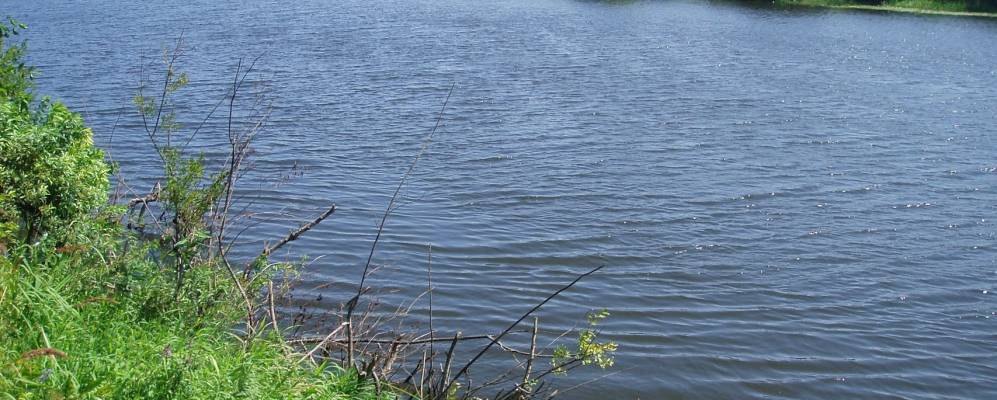 
            Фотография Лукино