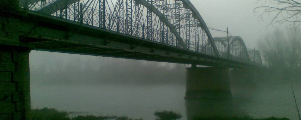 
            Фотография Кориы