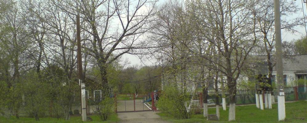 
            Фотография Лотиково