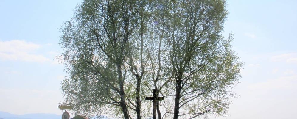 
            Фотография Шехингена