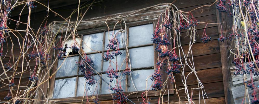 
            Фотография Прокофьево