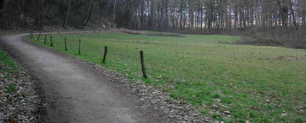 
            Фотография Альме