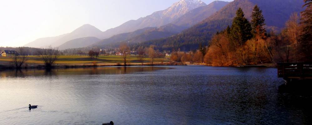 
            Фотография Преддвора