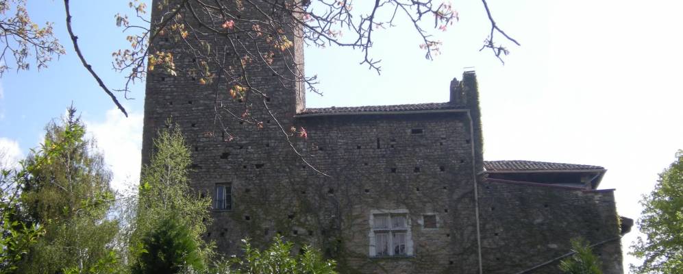 
            Фотография Альбини-сюр-Саона