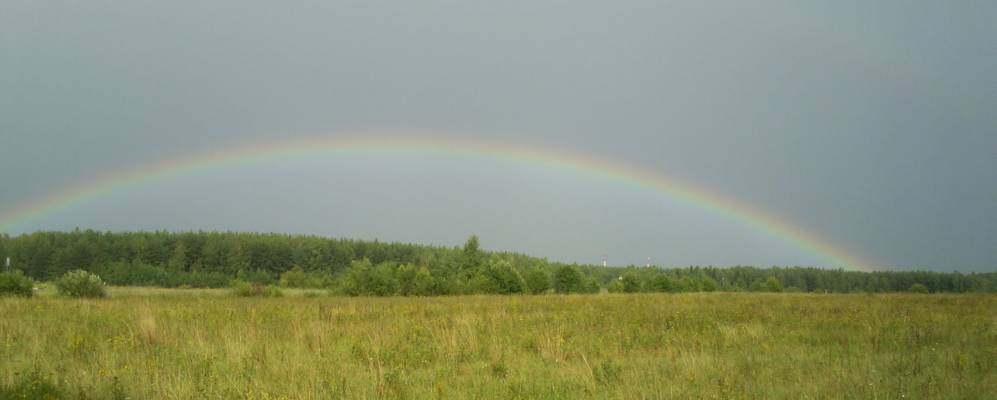 
            Фотография Синевой