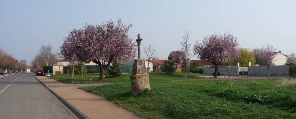 
            Фотография Менетроля