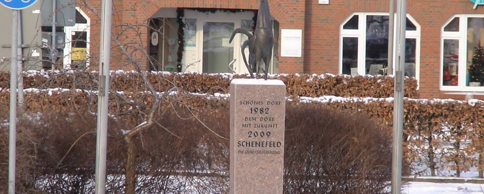 
            Фотография Шенефельда