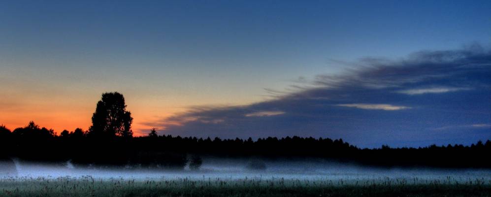 
            Фотография Трудовика