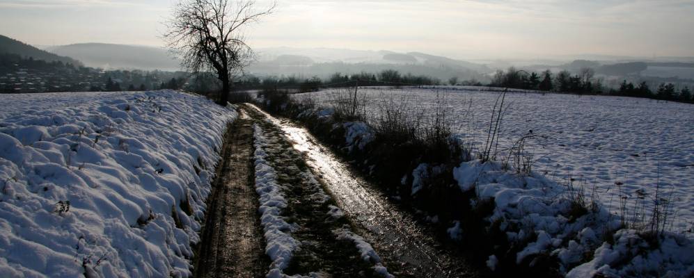 
            Фотография Вюншендорфа
