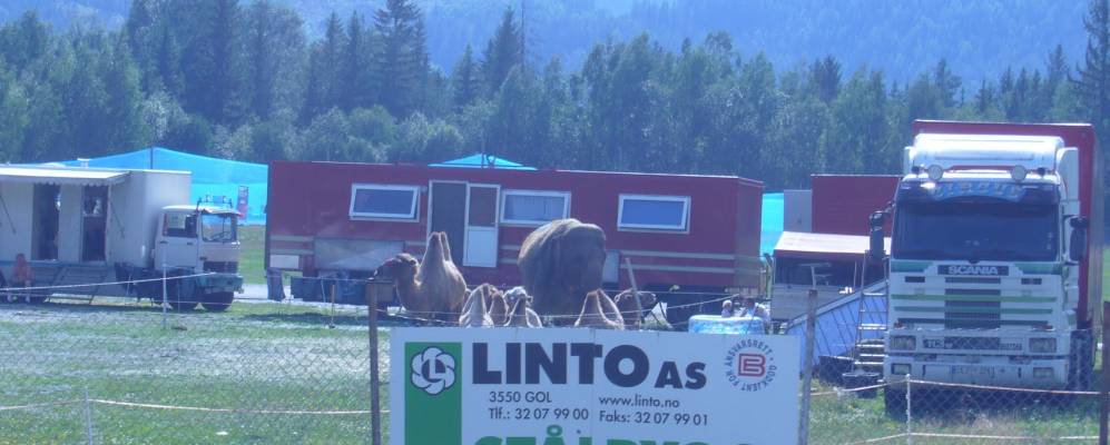 
            Фотография Несбиена