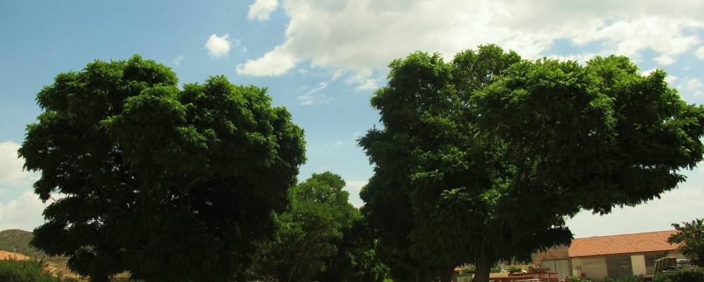 
            Фотография Martín del Río