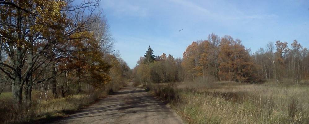 
            Фотография Дом Отдыха Александрино