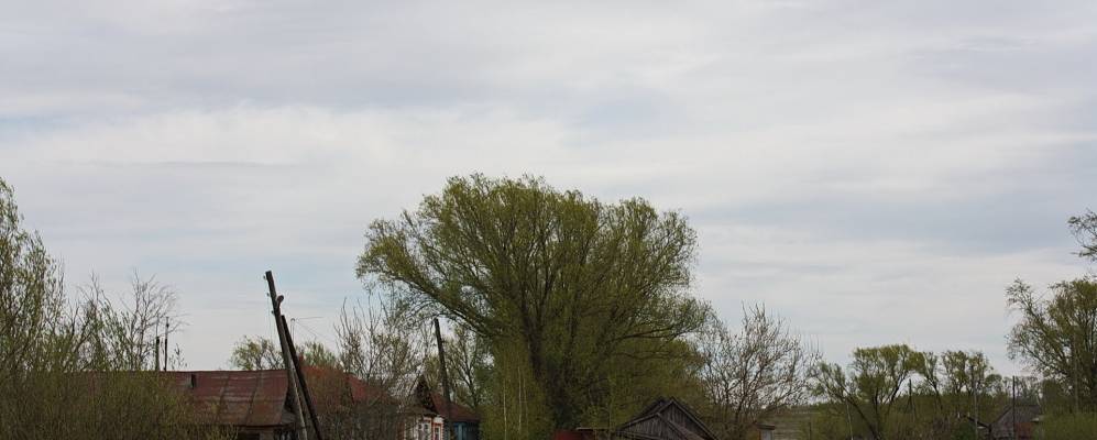 Фотография Андреевки