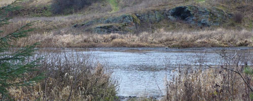 
            Фотография Медведево