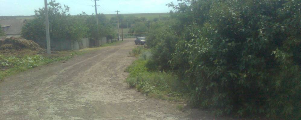 
            Фотография Украинского