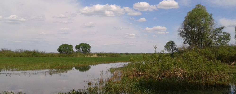 Фотография деревни Семигостичи