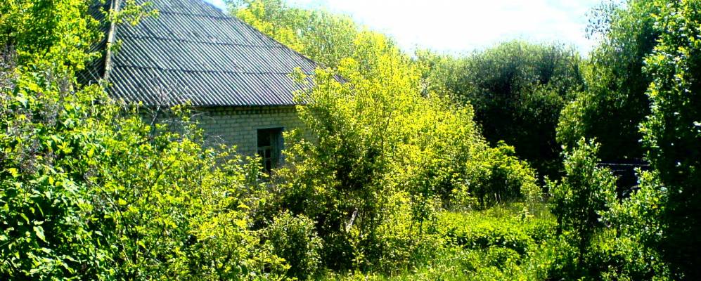 
            Фотография Караичного