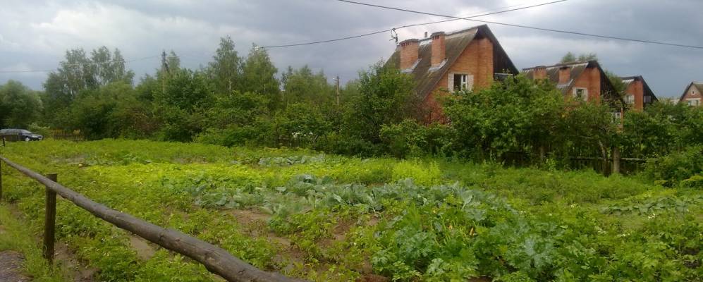 Фотография Колосовки