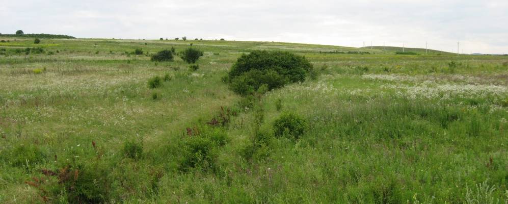 
            Фотография Ямполя