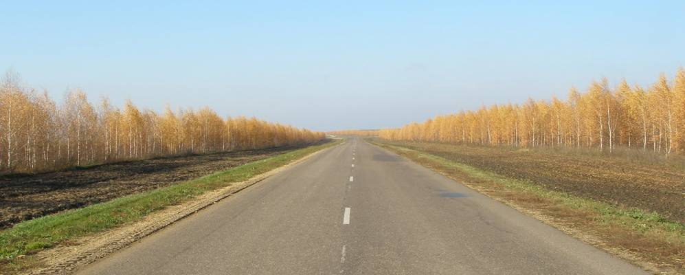 
            Фотография Кривцово-Плоты