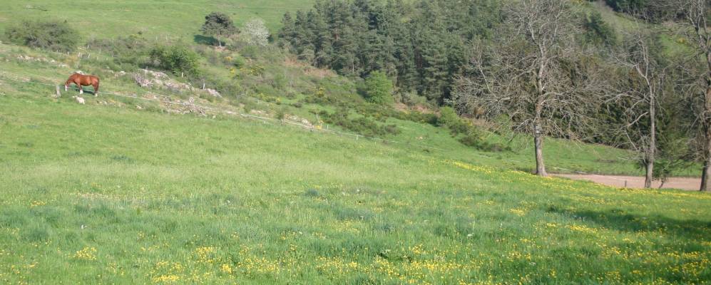 
            Фотография Сен-Морис-дё-Линьона