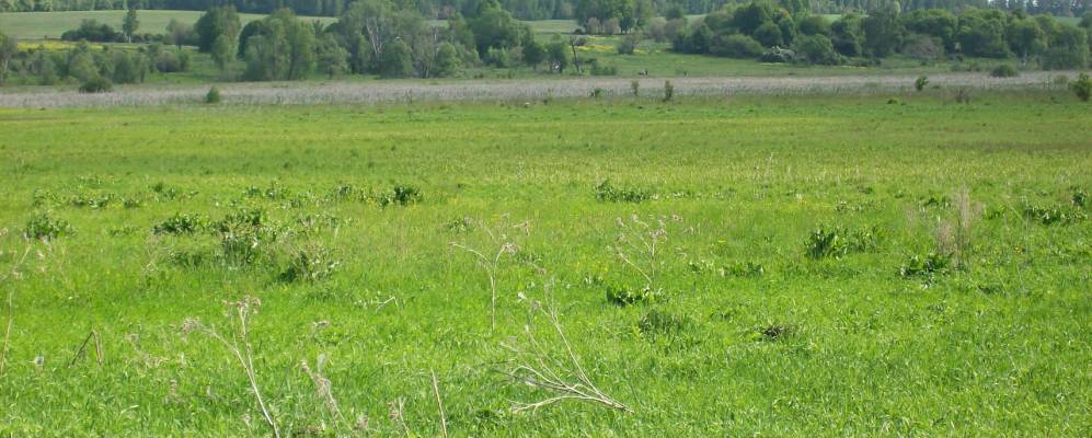 Фотография Чифировки