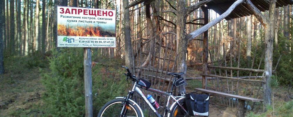 Фотография деревни Рогозки