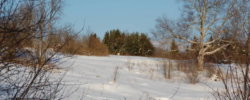 
            Фотография Макутино