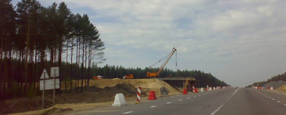 
            Фотография Лешницы