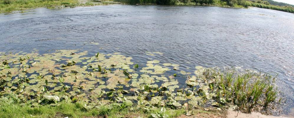 
            Фотография Новые Боровичи