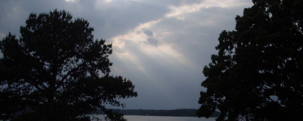 
            Фотография Lake Hamilton