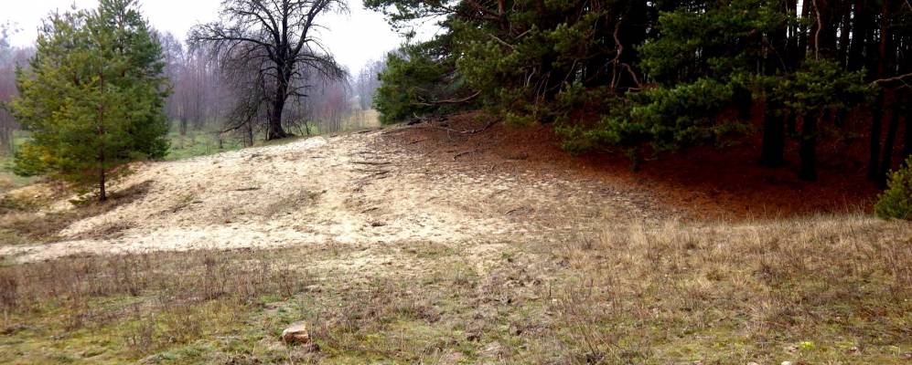 
            Фотография Добрянки