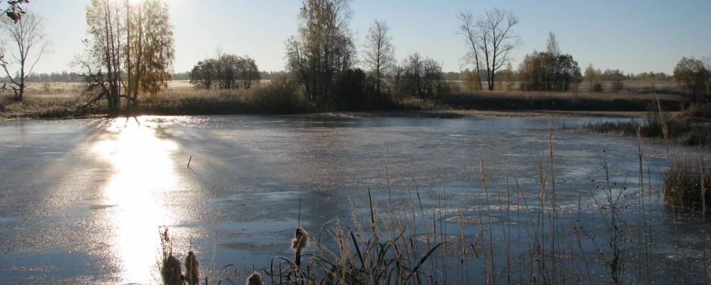 
            Фотография Черного Курнужа