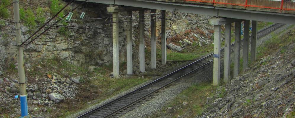 
            Фотография Кадыша